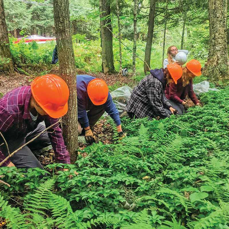 students in the woods