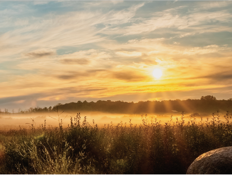 Golden sunrays on a field. Sky covered in floating clouds