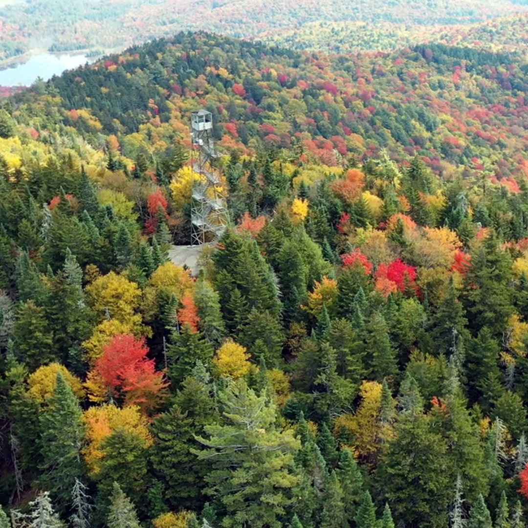 firetower aerial image